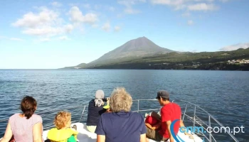 Aqua Açores, Lda - Whale and Dolphin Whatching - Lajes Do Pico