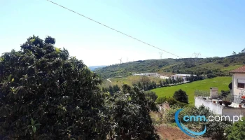 Arranhó - Arranhó