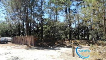 Associação Rebentos Brilhantes - 2925-282 Azeitão