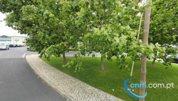 Caetano Colisão - Sintra - Caminho Serradinho 4700