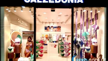 Calzedonia - 1 056