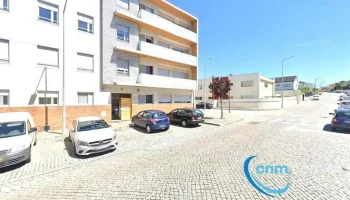 Dente de Leite - Maia