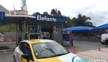 Elefante Azul São Martinho - São Martinho