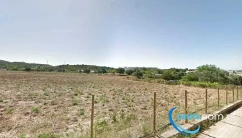 Gamboozinos - Portugal