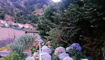 Grutas de São Vicente - São Vicente