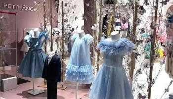 Le Petit Ange - 4620-030 Lousada