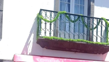O Esgalha - Ribeira Grande