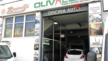 Olival Car - Olival Basto