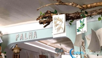 Palma - Lajes Das Flores