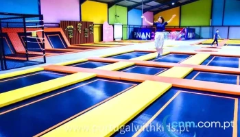 Panda Jumpers - 4415-078 Perosinho