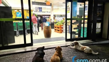 Pingo Doce Super Câmara de Lobos - Câmara De Lobos