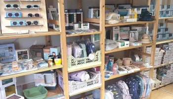 Pintassilgo no mundo das crianças - 4490-442 Póvoa De Varzim
