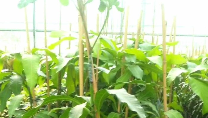 Agriloja De Ribeira Grande -  Loja De Suprimentos Agricolas - Ribeira Grande