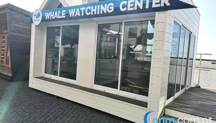 Aqua Acores Lda   Whale And Dolphin Whatching Exterior - Lajes Do Pico