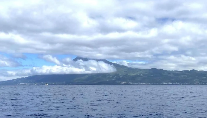 Aqua Acores Lda   Whale And Dolphin Whatching Promocao - Lajes Do Pico