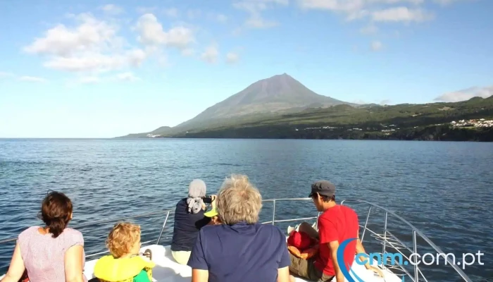 Aqua Açores, Lda - Whale and Dolphin Whatching - Lajes Do Pico