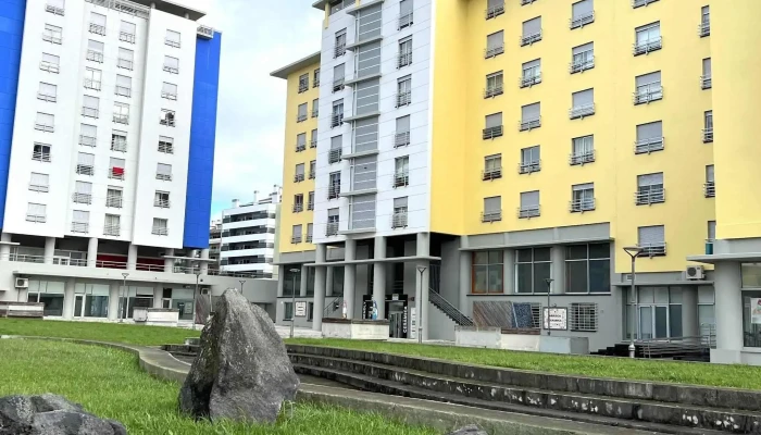 Arrisca Experience -  Organizacao Nao Governamental - Ponta Delgada