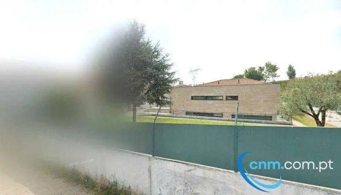 Asas De Portugal-centro De Criação Do Norte De Pombos Correios Lda - Custóias