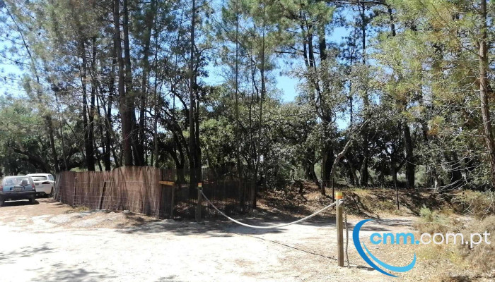 Associação Rebentos Brilhantes - 2925-282 Azeitão