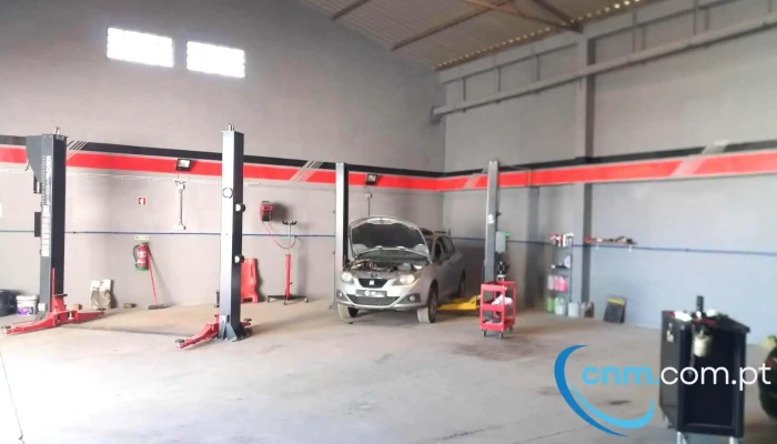Auto Performance Beja - 7800-256 Beja