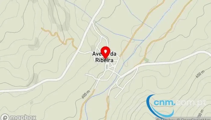 Avelas Da Ribeira Mapa - Portugal