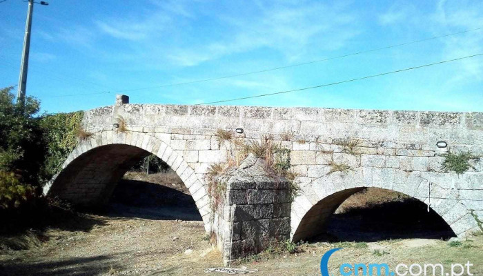 Avelãs da Ribeira - Portugal