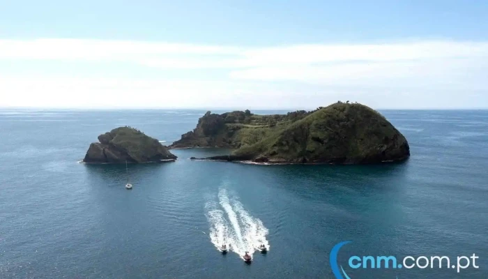 Azores Dive Center, Diving Azores Sub - Vila Franca Do Campo