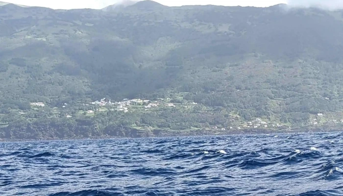 Bela Vista Whale Dolphin Watching Instagram - Lajes Do Pico