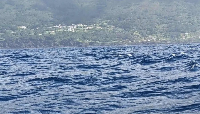Bela Vista Whale Dolphin Watching Montanha - Lajes Do Pico