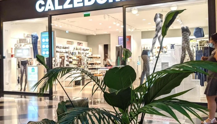 Calzedonia -  Loja De Roupa - Funchal