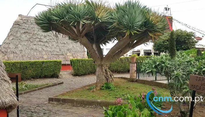 Casas Tipicas De Santana Videos - Santana
