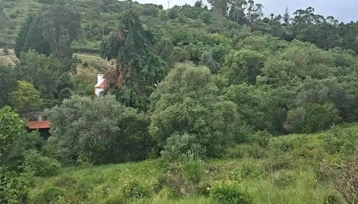 Cascata Do Boicao Mais Recentes - Bucelas