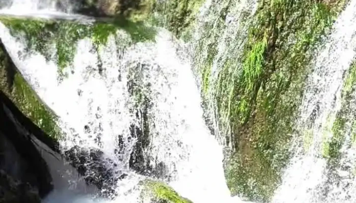 Cascata Do Boicao Videos - Bucelas