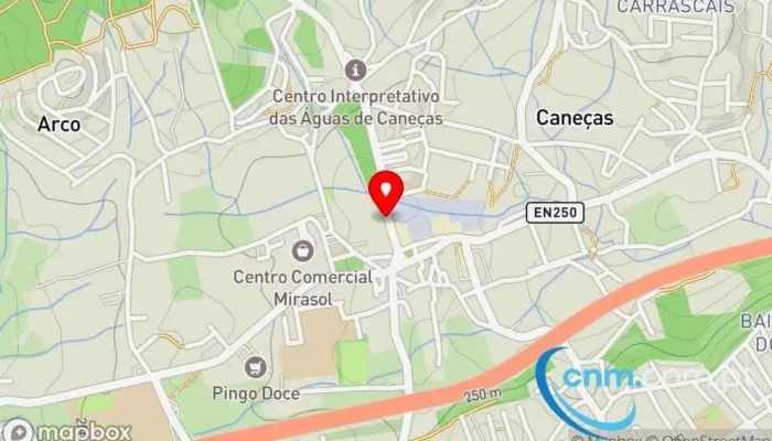Cesto De Canecas Mapa - Caneças