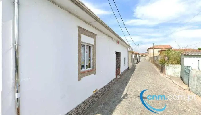 Colegio Infantil Circo Magico, Lda. - Grijó