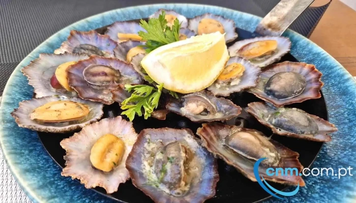 Conchinha -  Ostra - Porto Moniz