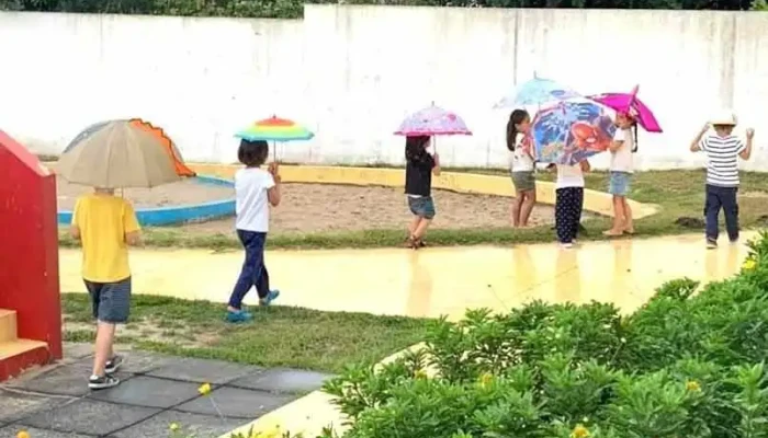 Escola Pequeno Cidadão - Aradas