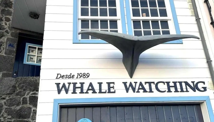 Espaco Talassa  Observacao De Cetaceos Exterior - Lajes Do Pico