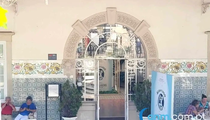 Fonte de São João - Luso