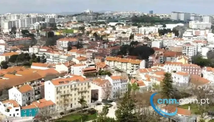 Forbabiesbrain By Clementina Oeiras Do Proprietario - Algés
