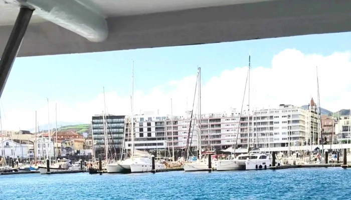 Futurismo Azores Adventures -  Agencia De Turismo Para Observacao De Baleias - Ponta Delgada