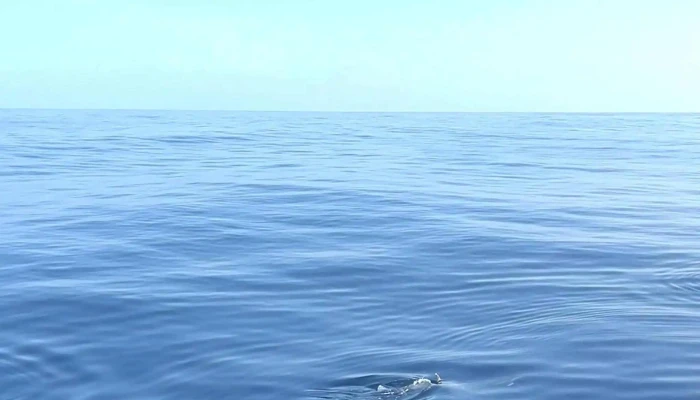 Futurismo Azores Adventures -  Site - Ponta Delgada