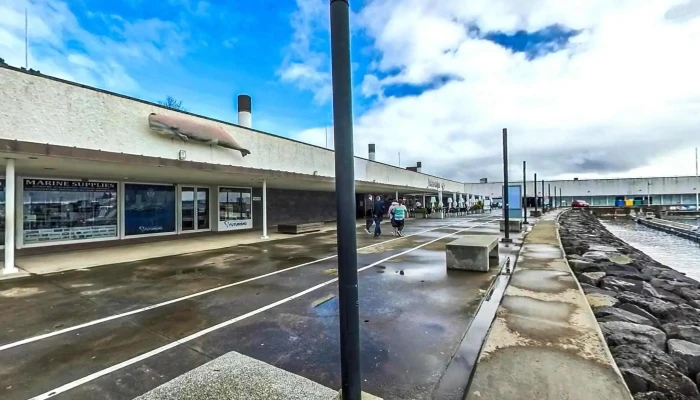 Futurismo Azores Adventures -  Street View E 360deg - Ponta Delgada