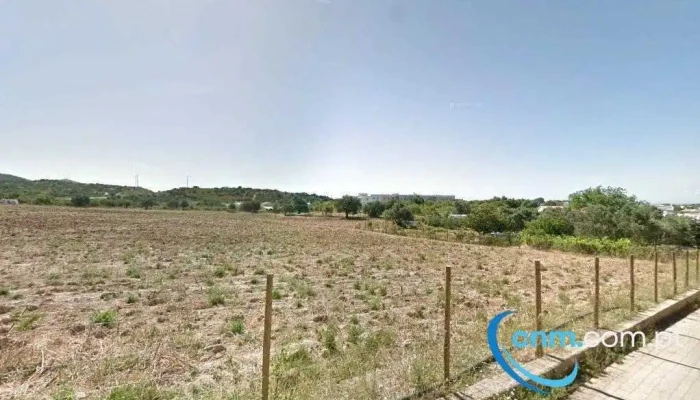 Gamboozinos - Portugal