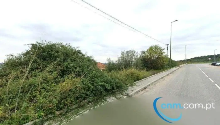Germano Grave Lda. - Portugal