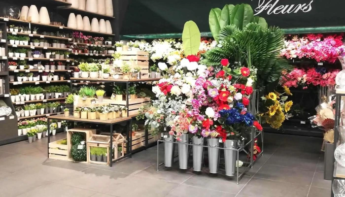 Homa Sao Miguel Decoracao Mobiliario Cozinha Arrumacao Numero - São Miguel
