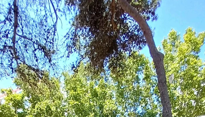 Jardim Do Lago -  Perto De Mim - Estoril