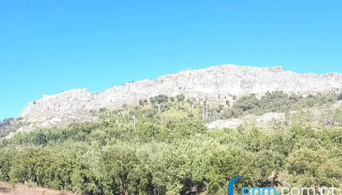 Jj Videira Parque Natural Da Serra De Sao Mamede - Marvão