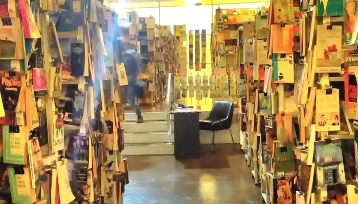 Livraria Esperanca Estante - Funchal