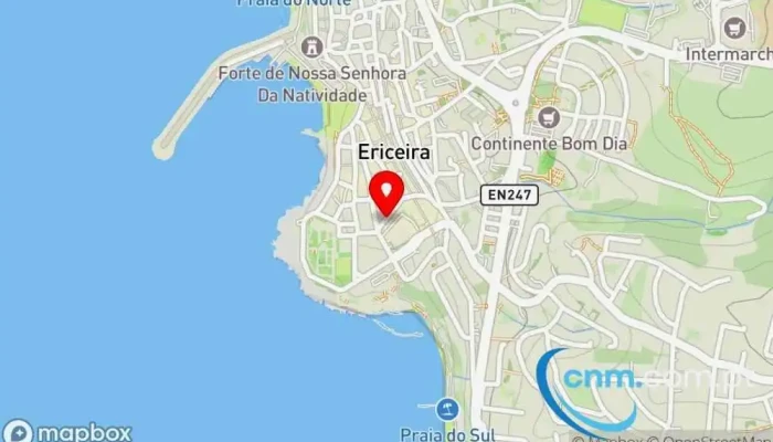 Lola E Amigos Artigos Para Caes E Gatos Mapa - Ericeira